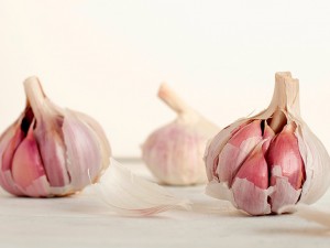 Afty - bolesna dolegliwość