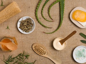 Nagietek lekarski i jego właściwości